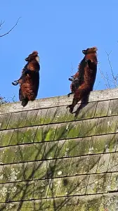 Leentje 02 In het eerste lente zonnetje